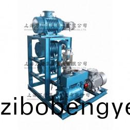 JZJ2BE型(xing)水(shui)環(huán)(huan)儸(luo)茨真(zhen)空(kong)泵(beng)機(ji)組